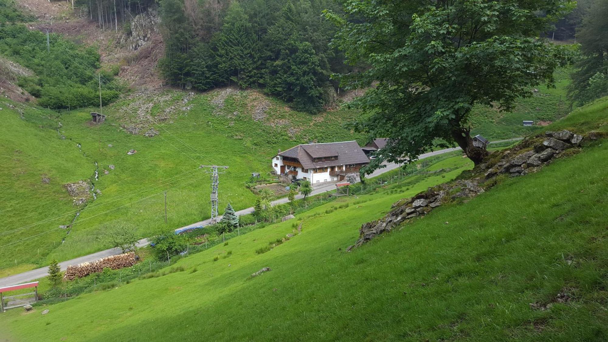Bauernhaus Im Münstertal Buitenkant foto