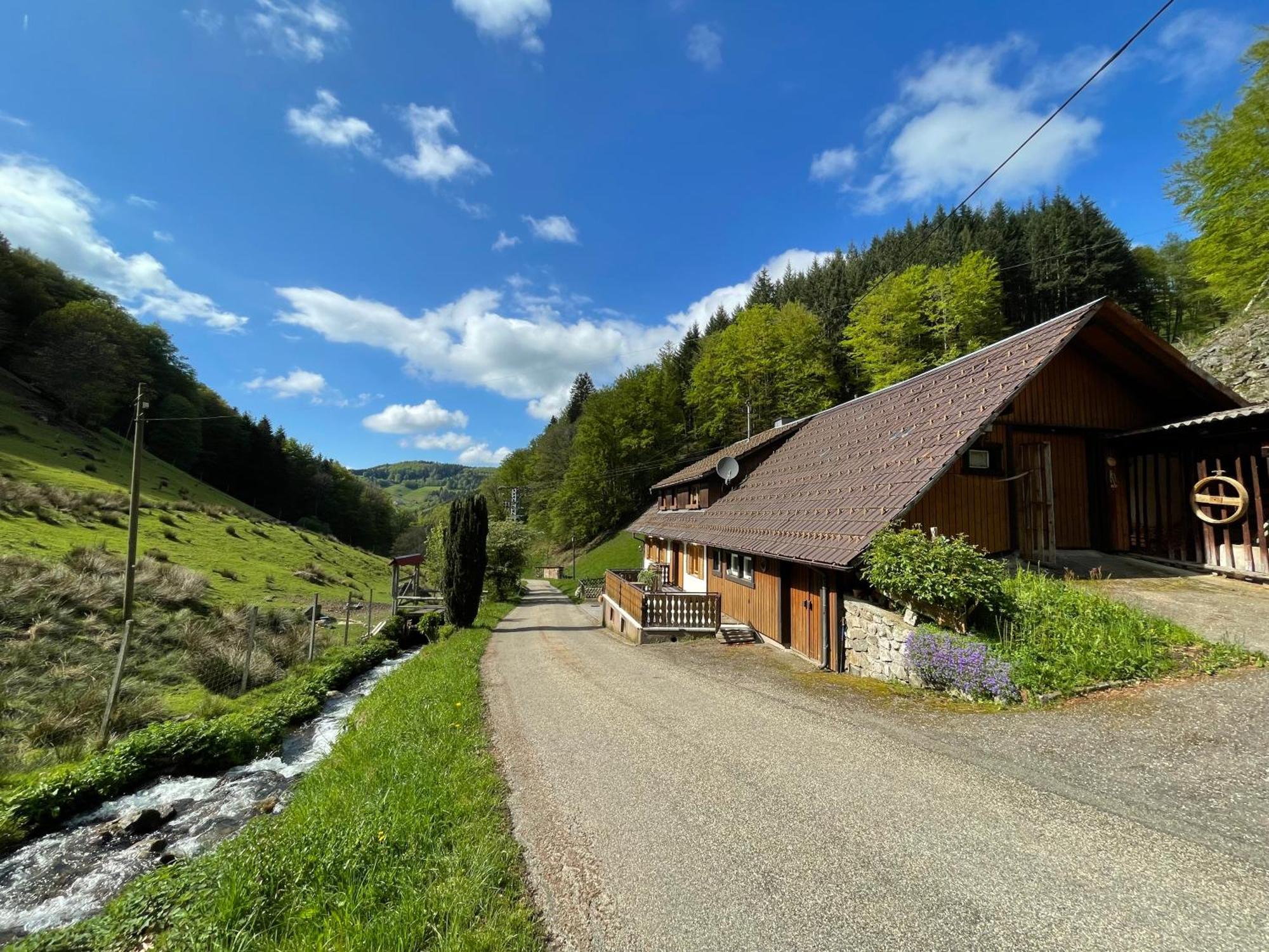 Bauernhaus Im Münstertal Buitenkant foto