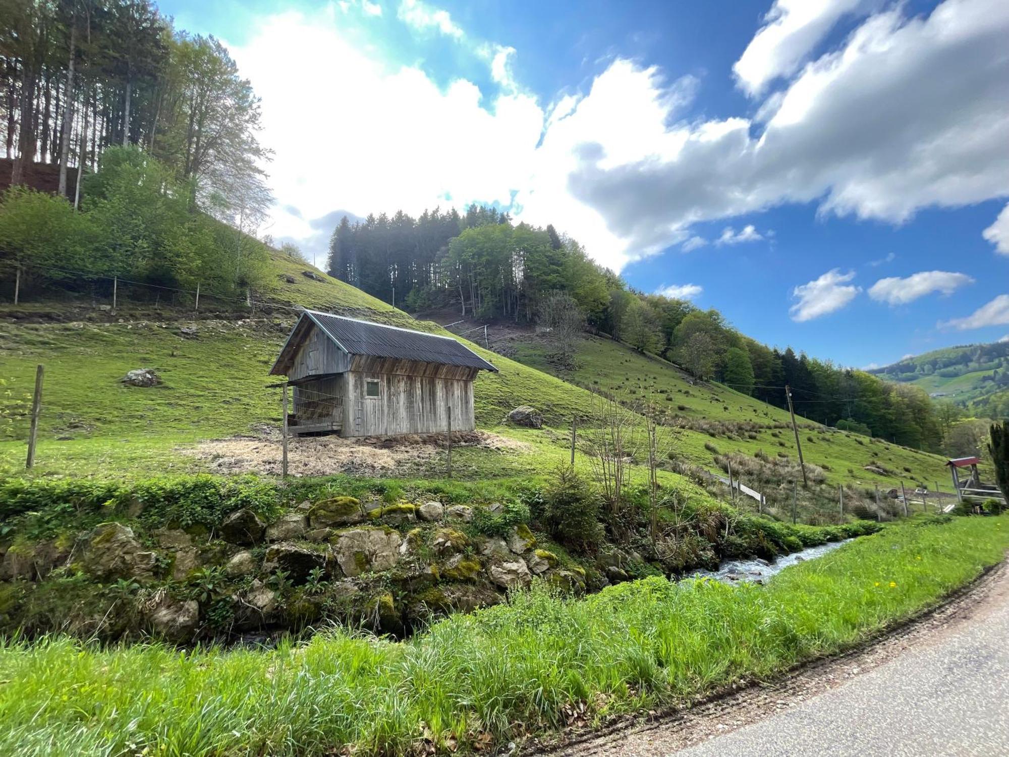 Bauernhaus Im Münstertal Buitenkant foto