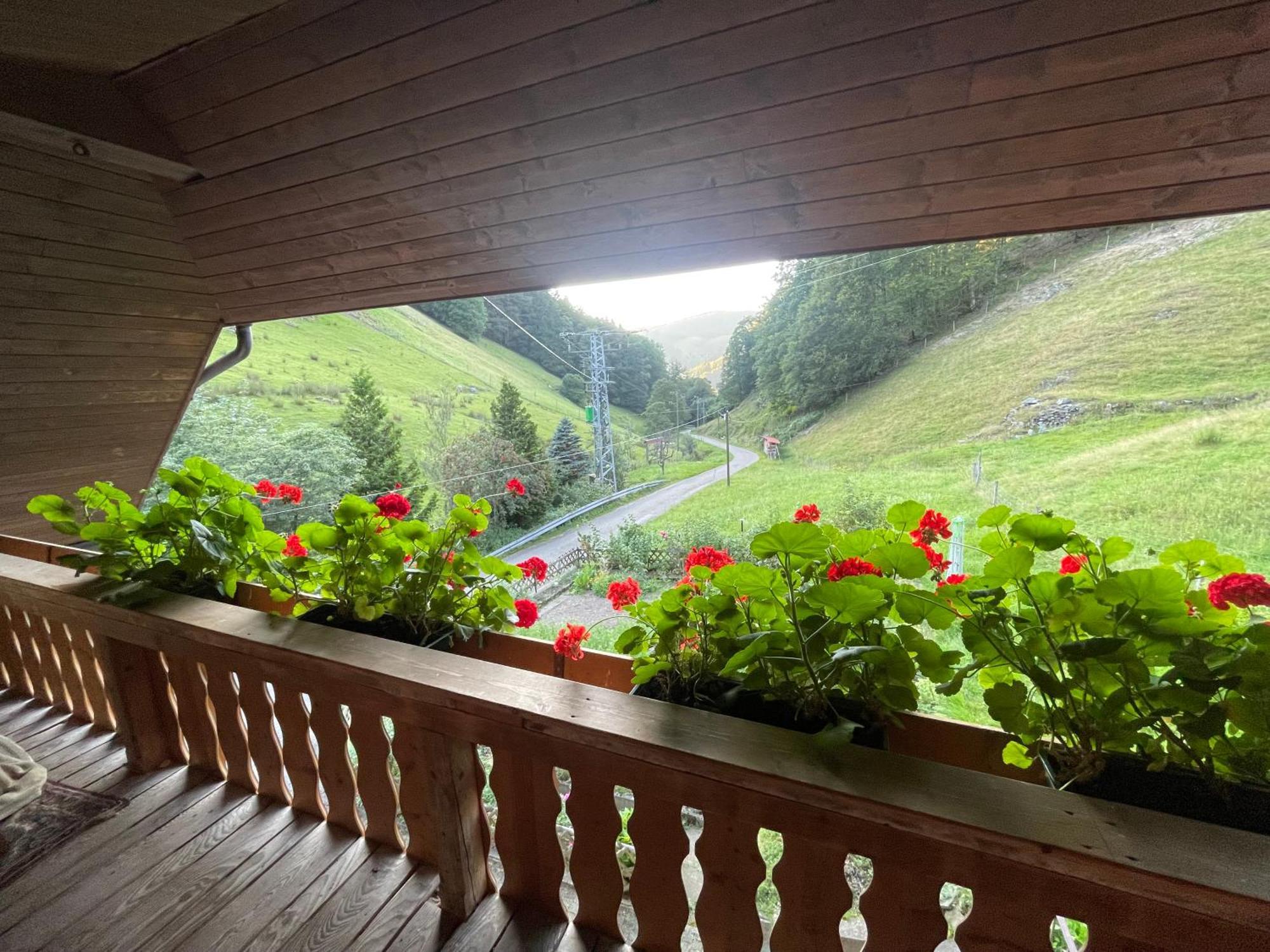Bauernhaus Im Münstertal Buitenkant foto